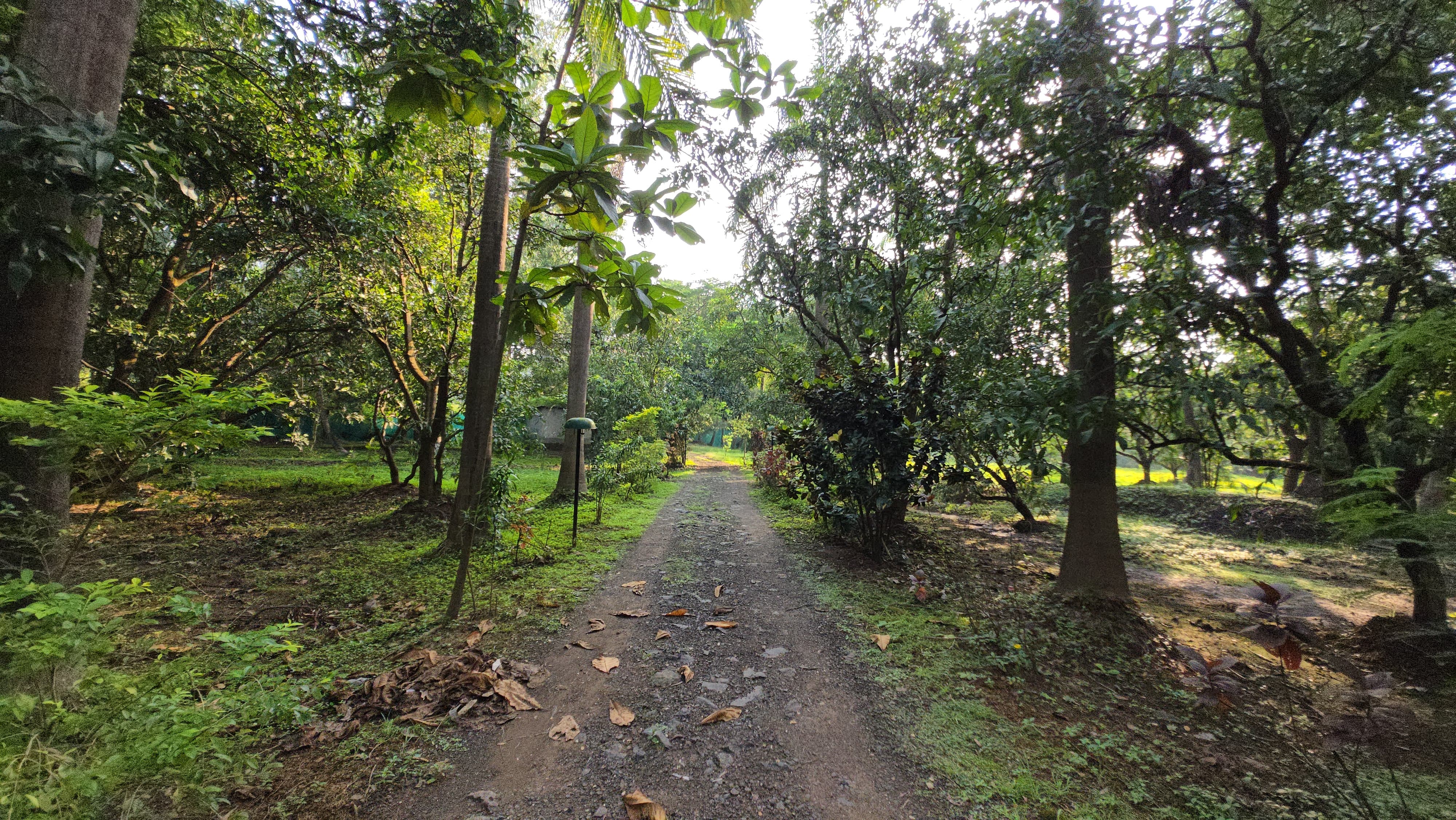 Canal touch 5 Acre Farmhouse for sale just 5km from Karjat.