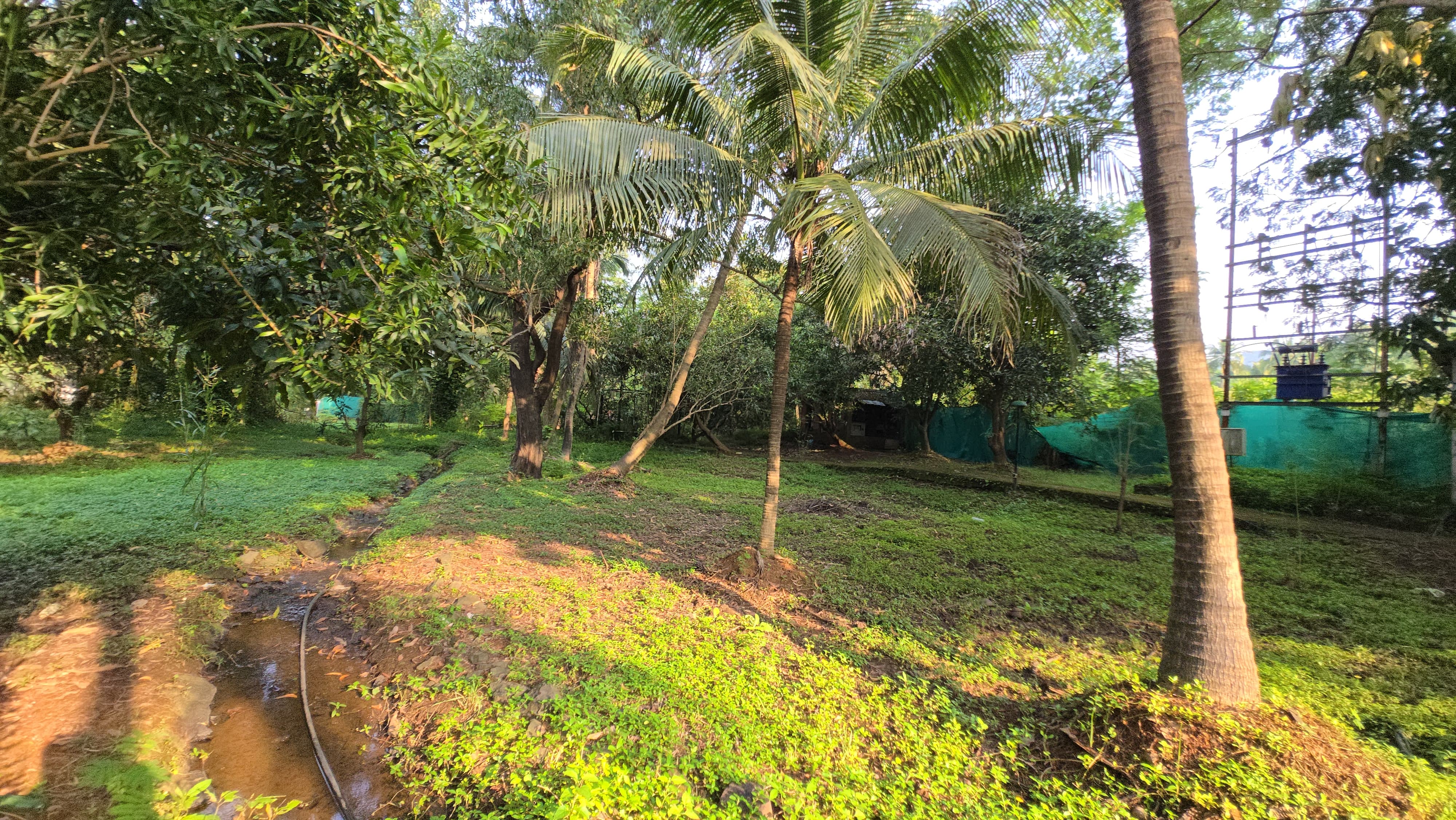 Canal touch 5 Acre Farmhouse for sale just 5km from Karjat.