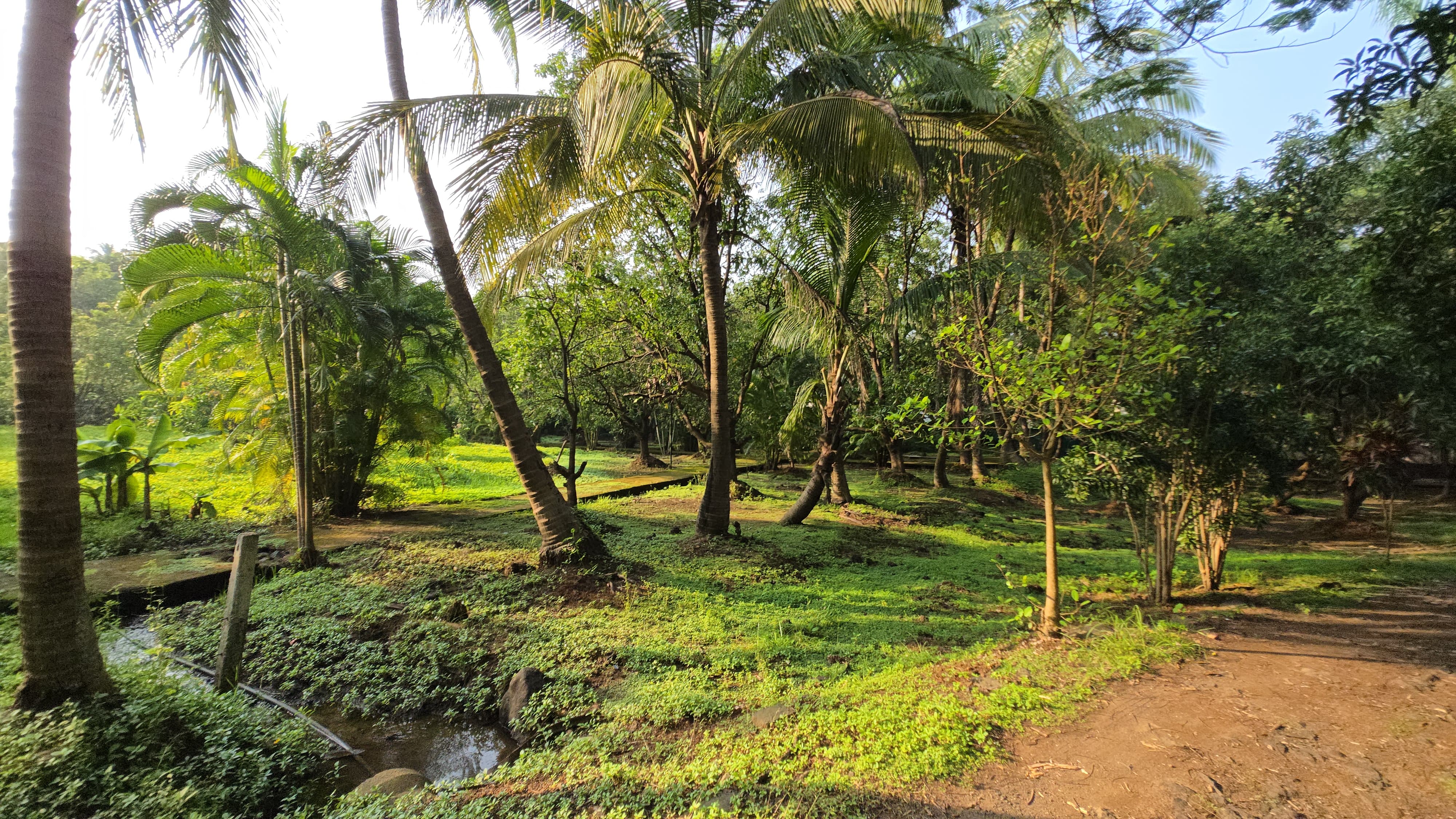 Canal touch 5 Acre Farmhouse for sale just 5km from Karjat.
