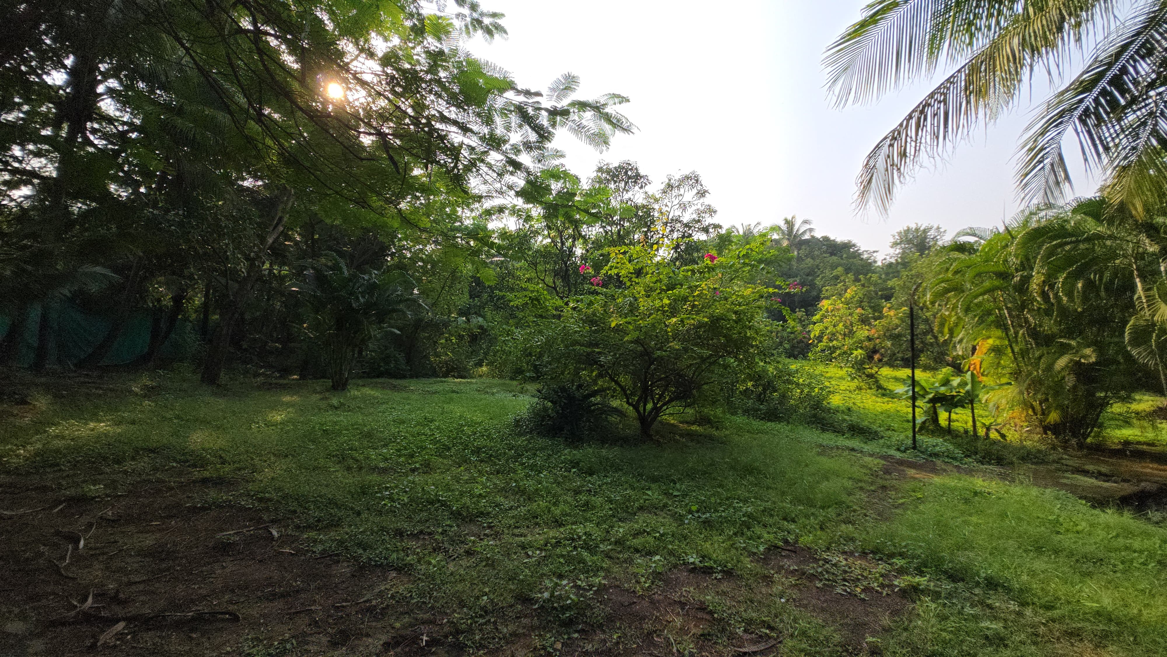 Canal touch 5 Acre Farmhouse for sale just 5km from Karjat.