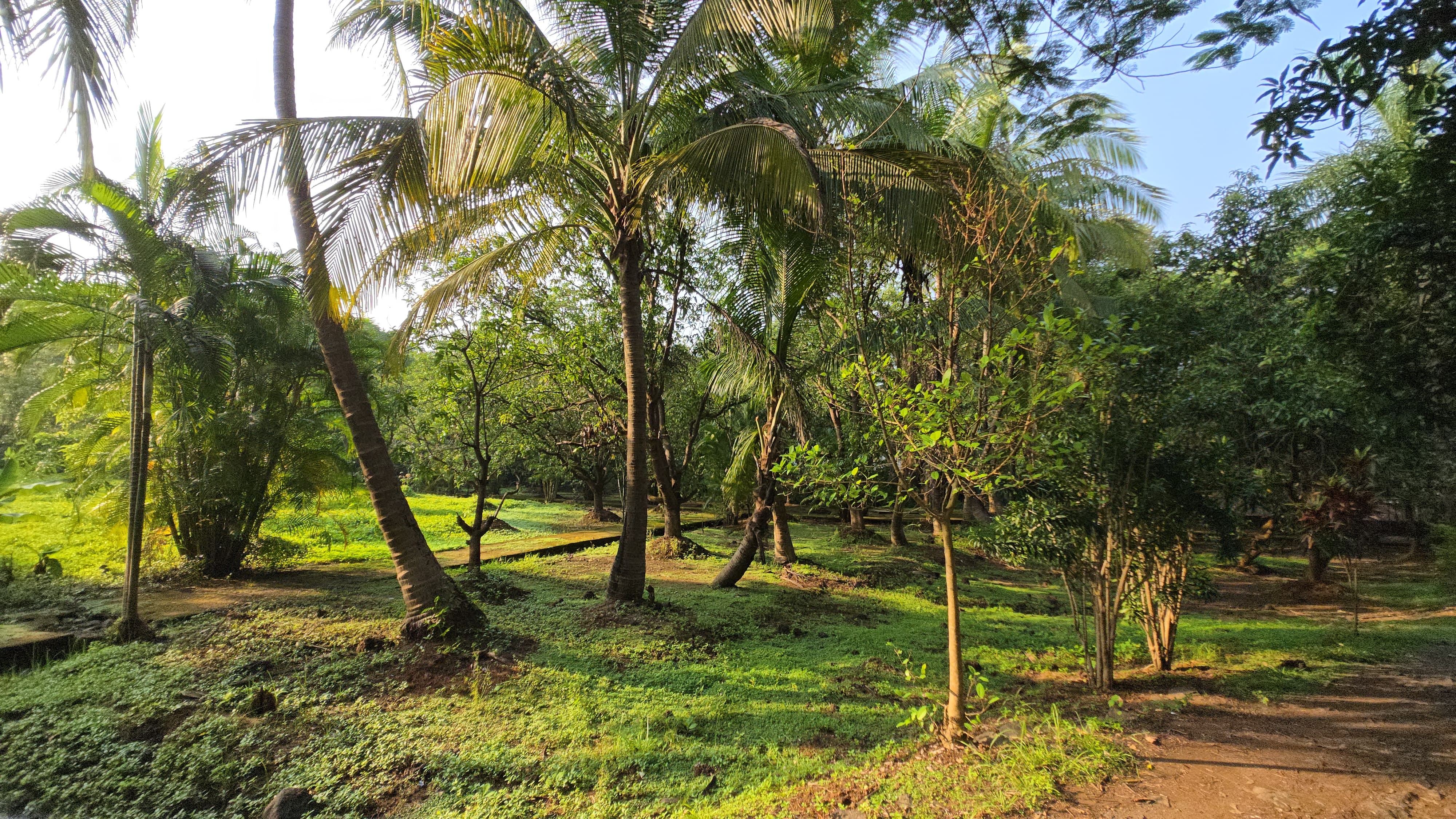 Canal touch 5 Acre Farmhouse for sale just 5km from Karjat.