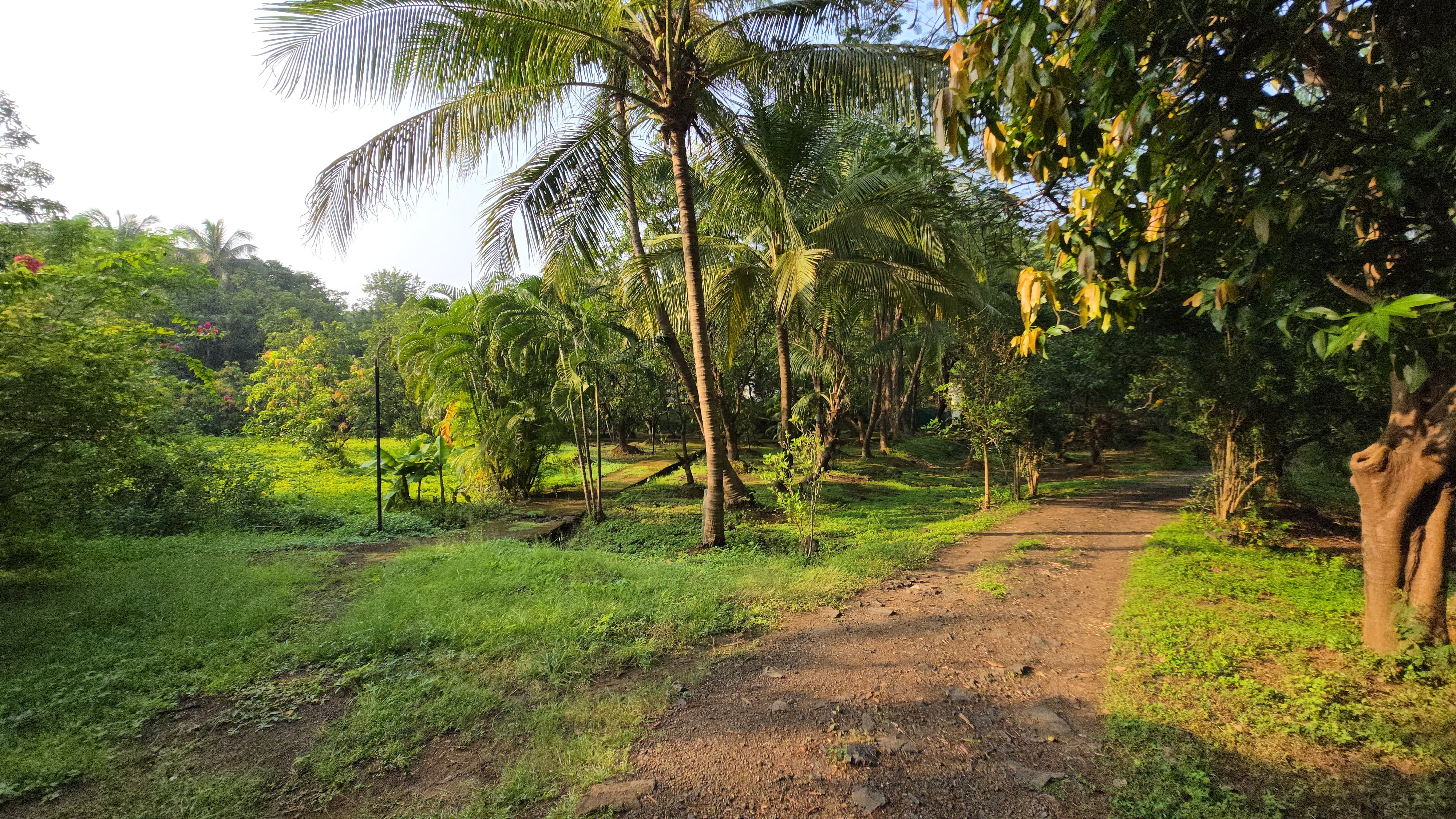 Canal touch 5 Acre Farmhouse for sale just 5km from Karjat.