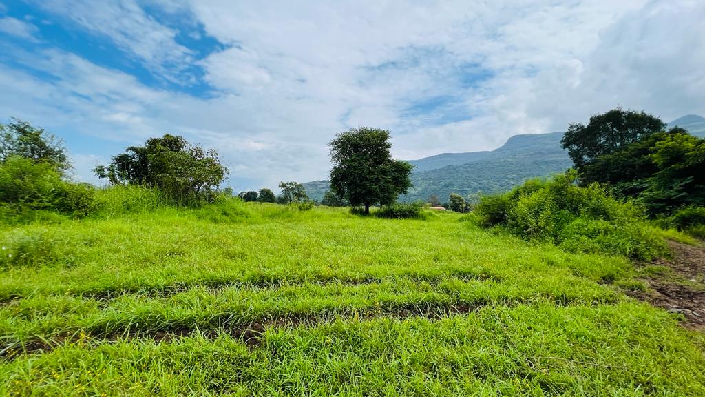 Mountains view 5 acre Canal touch agriculture land for sale 5 km from Karjat city.