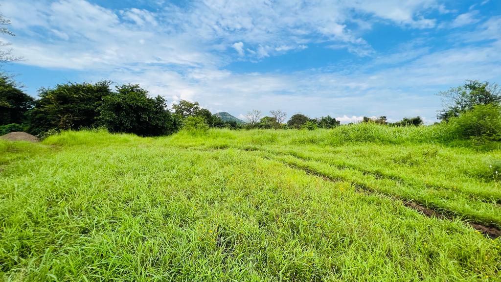 Mountains view 5 acre Canal touch agriculture land for sale 5 km from Karjat city.