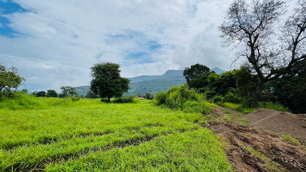Mountains view 5 acre Canal touch agriculture land for sale 5 km from Karjat city.