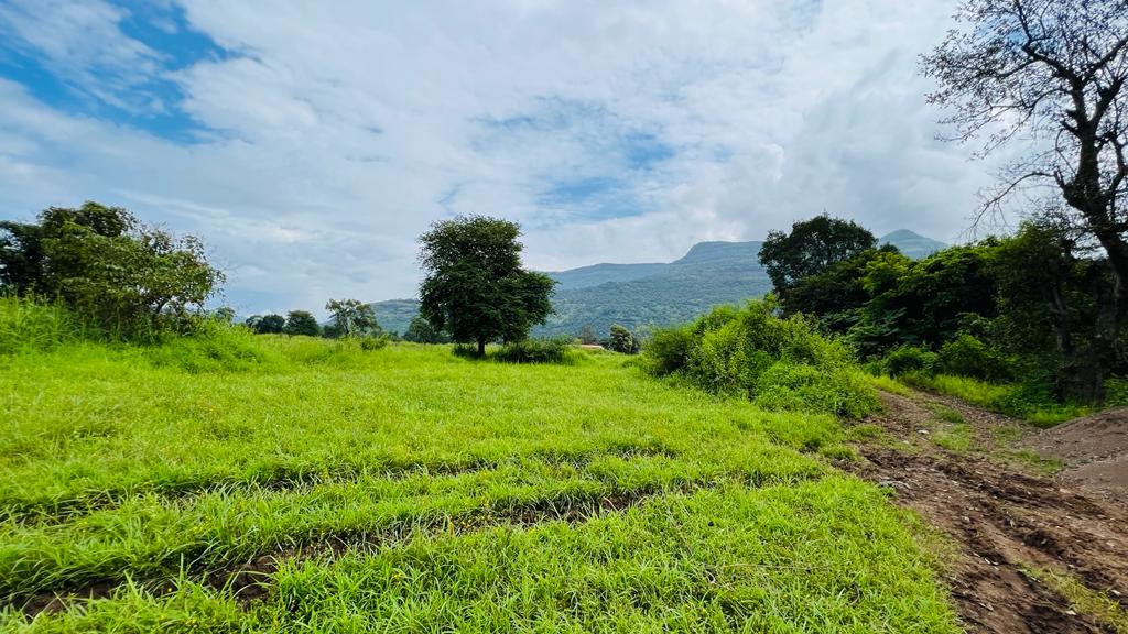 Mountains view 5 acre Canal touch agriculture land for sale 5 km from Karjat city.