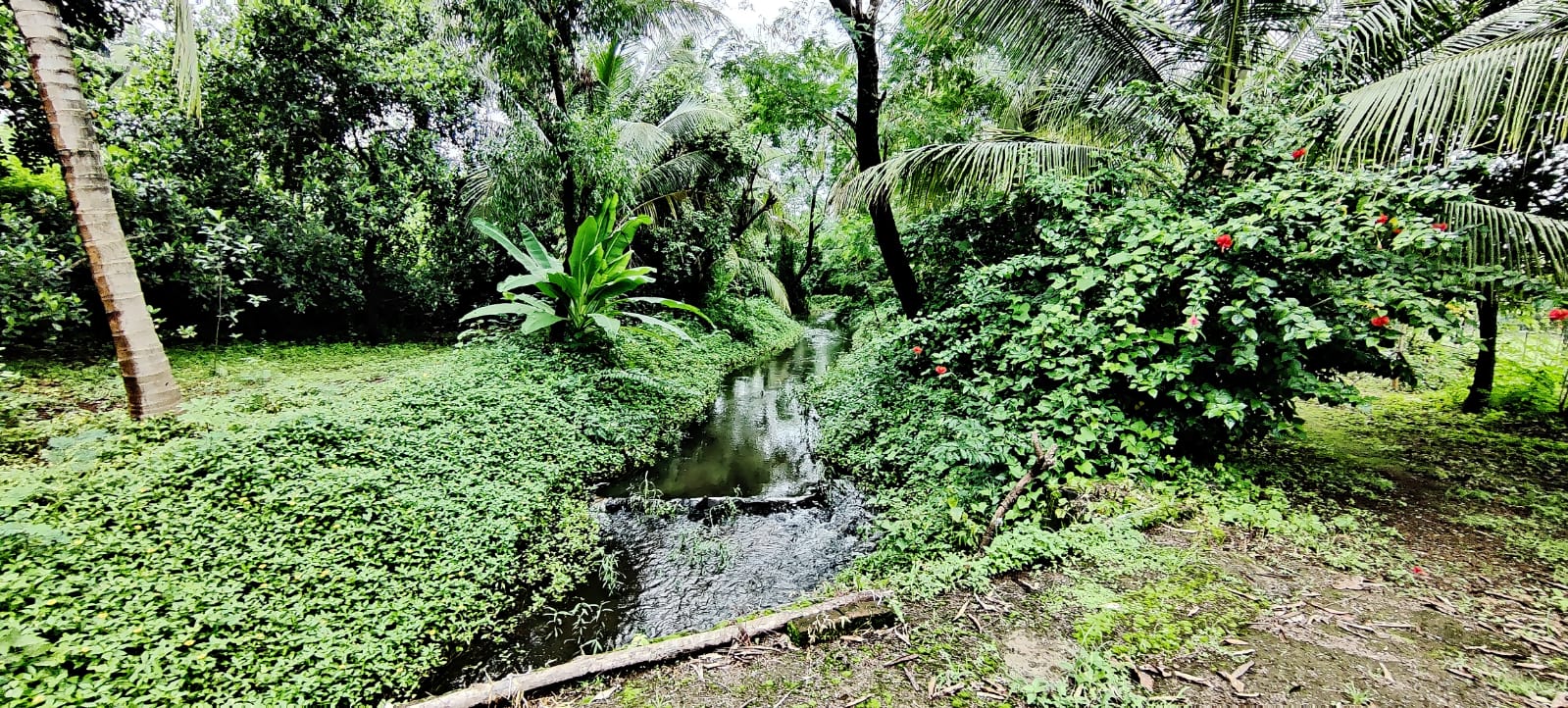 River & Canal Touch 1.5 acre farm house For Sale at Tata road, Karjat.