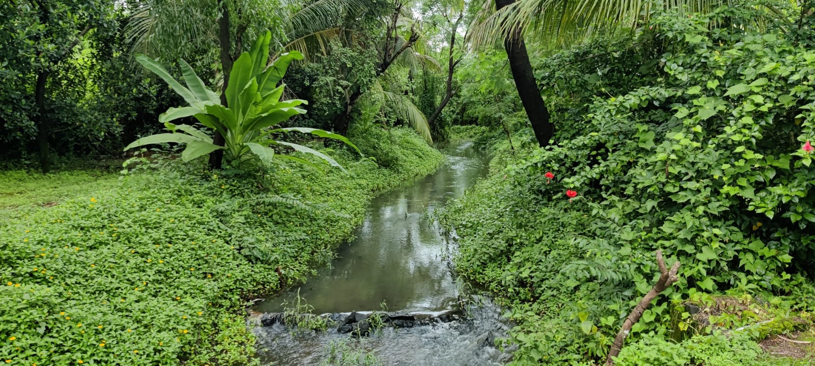 River & Canal Touch 1.5 acre farm house For Sale at Tata road, Karjat.