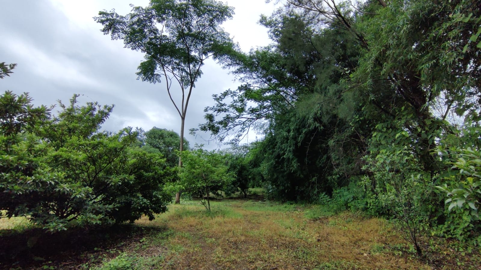 River & Canal Touch 1.5 acre farm house For Sale at Tata road, Karjat.