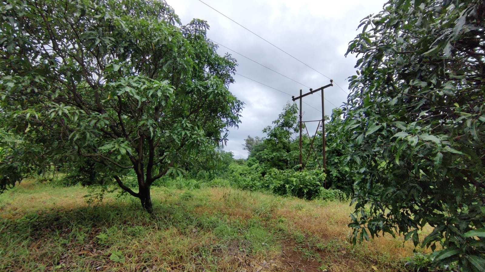 River & Canal Touch 1.5 acre farm house For Sale at Tata road, Karjat.
