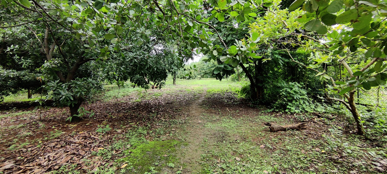 River & Canal Touch 1.5 acre farm house For Sale at Tata road, Karjat.