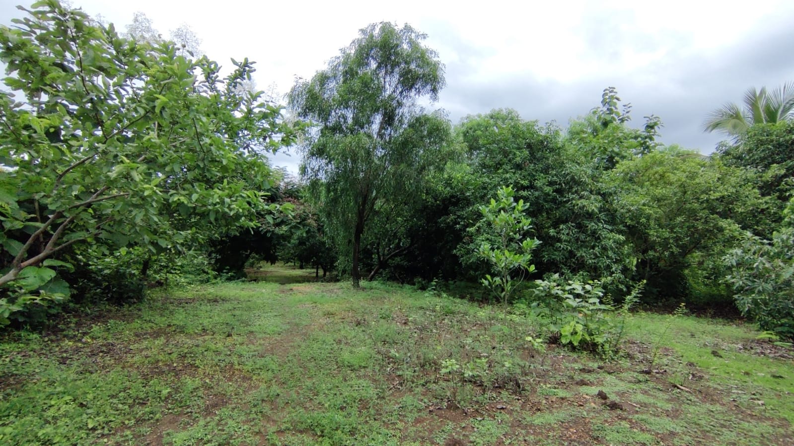 River & Canal Touch 1.5 acre farm house For Sale at Tata road, Karjat.