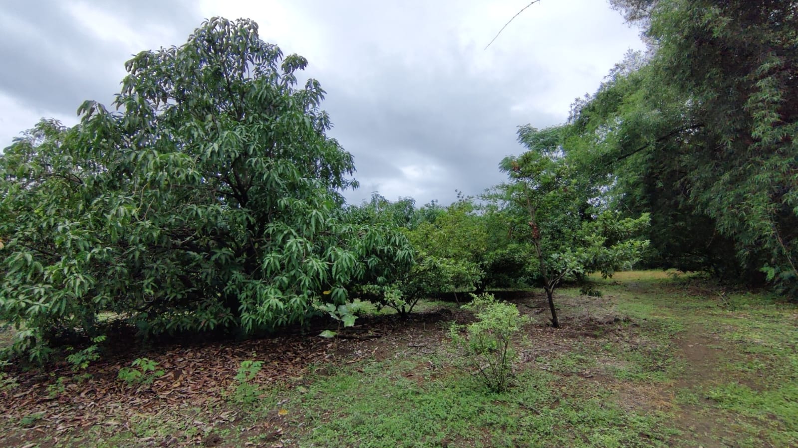 River & Canal Touch 1.5 acre farm house For Sale at Tata road, Karjat.