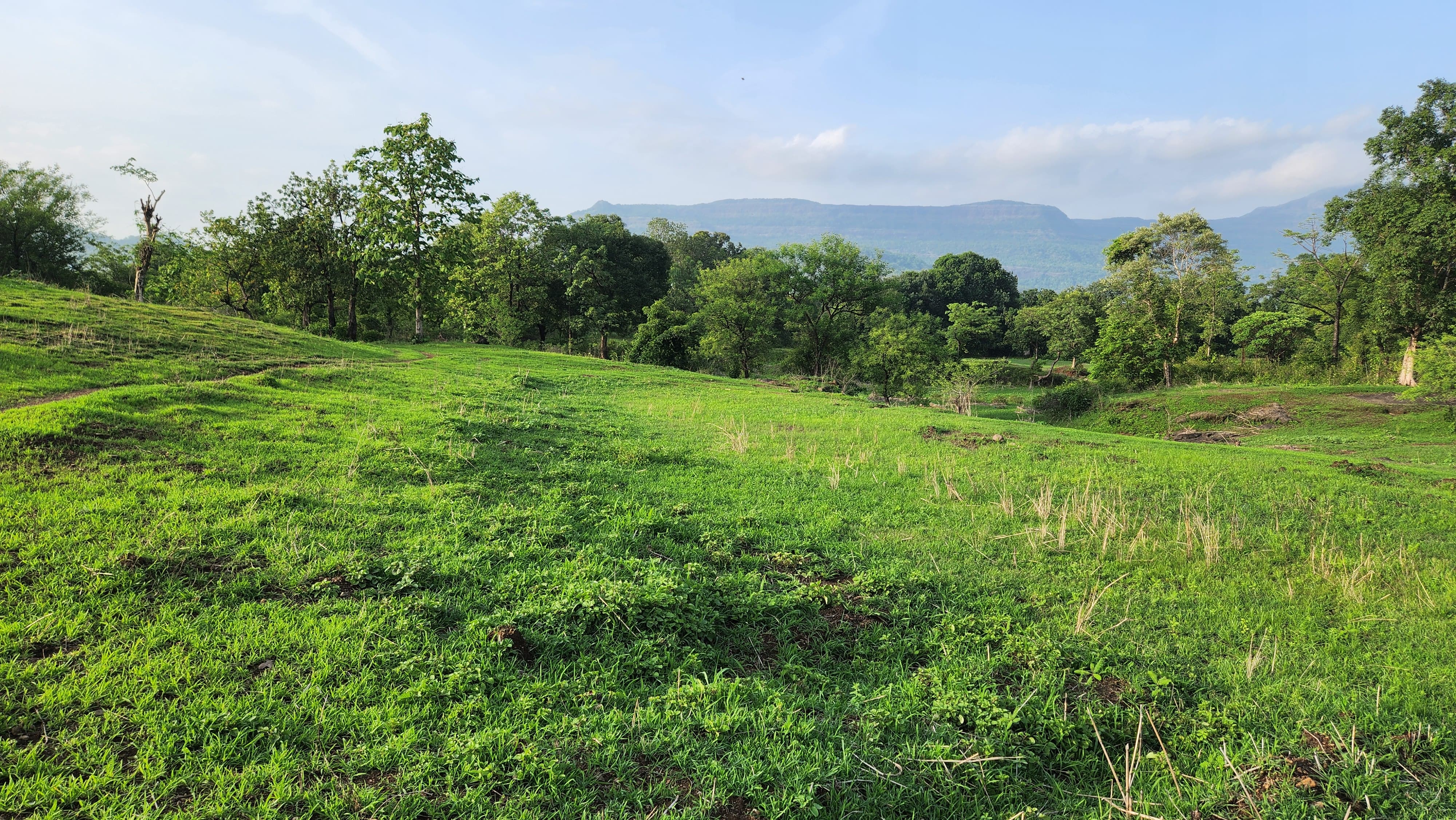 Rivertouch 13 acre agriculture land for sale 10 km from Karjat.