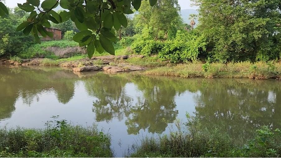 Rivertouch 13 acre agriculture land for sale 10 km from Karjat.