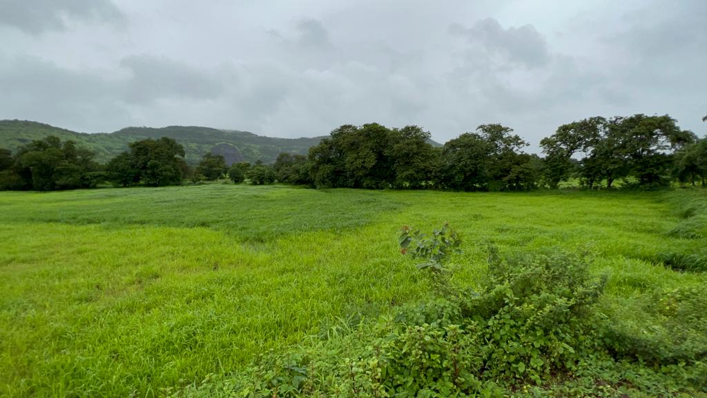 Taar road touch 5 Acre Gaothan touch land for sale just 4 km from Karjat.
