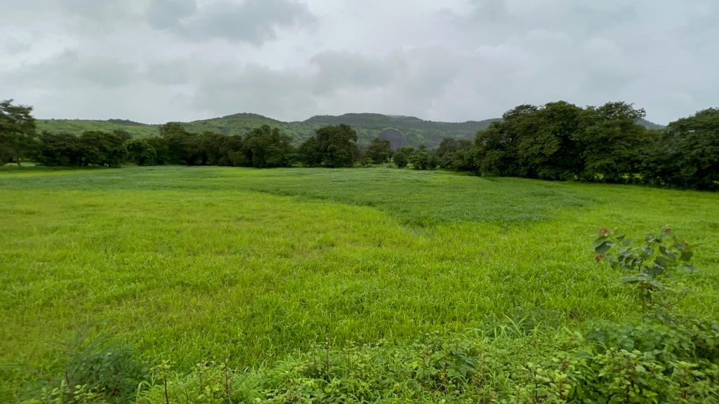 Taar road touch 5 Acre Gaothan touch land for sale just 4 km from Karjat.
