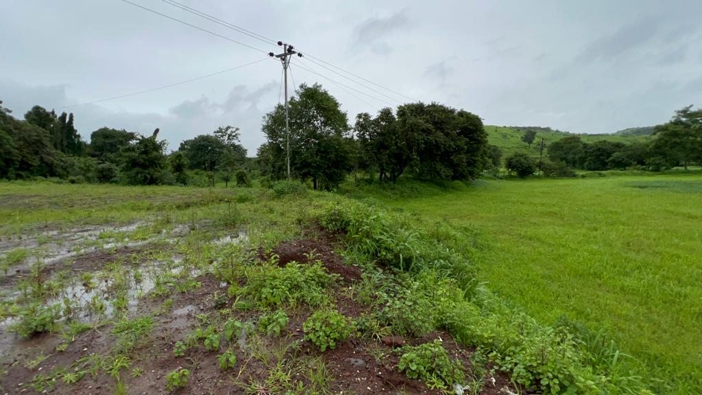 Taar road touch 5 Acre Gaothan touch land for sale just 4 km from Karjat.