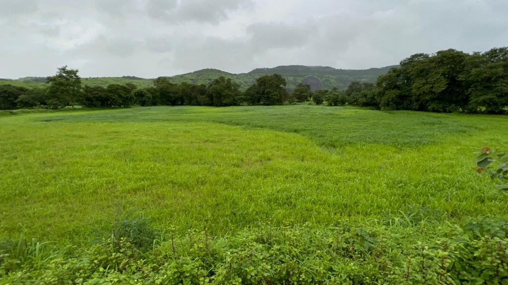 Taar road touch 5 Acre Gaothan touch land for sale just 4 km from Karjat.