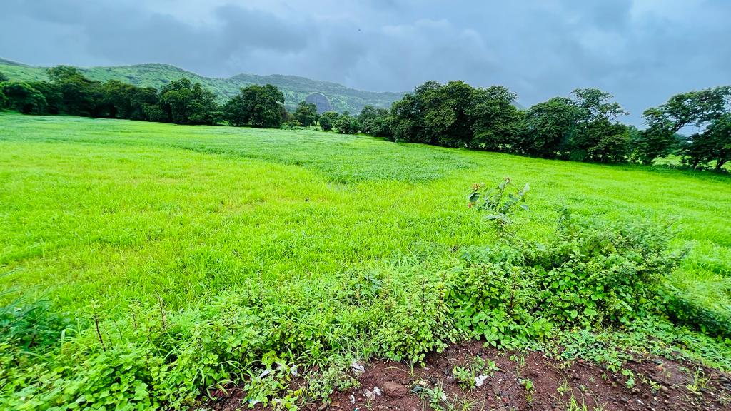 Taar road touch 5 Acre Gaothan touch land for sale just 4 km from Karjat.