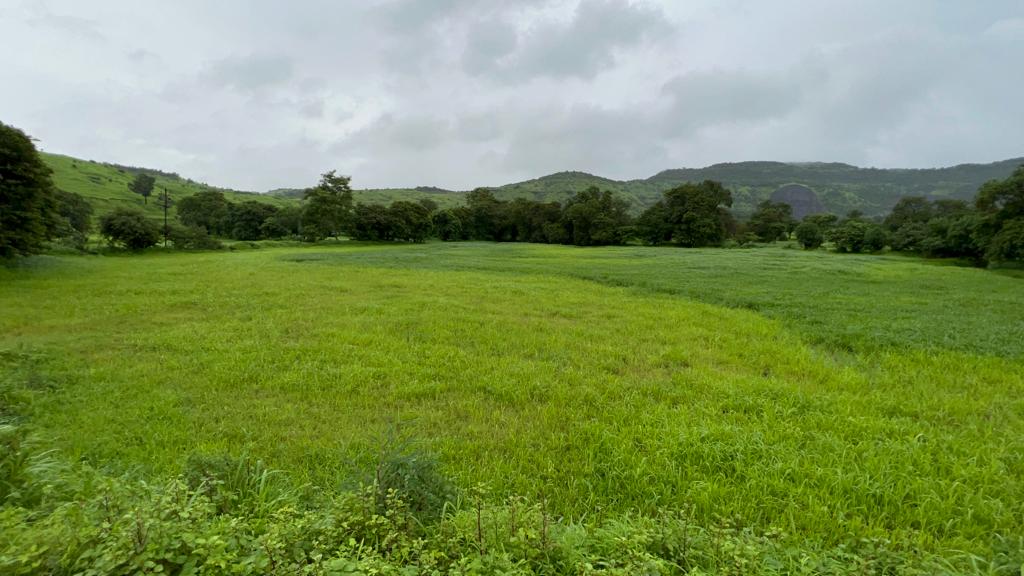 Taar road touch 5 Acre Gaothan touch land for sale just 4 km from Karjat.
