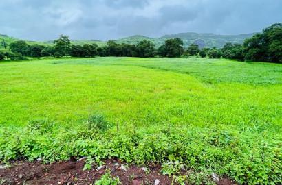 Taar road touch 5 Acre Gaothan touch land for sale just 4 km from Karjat.