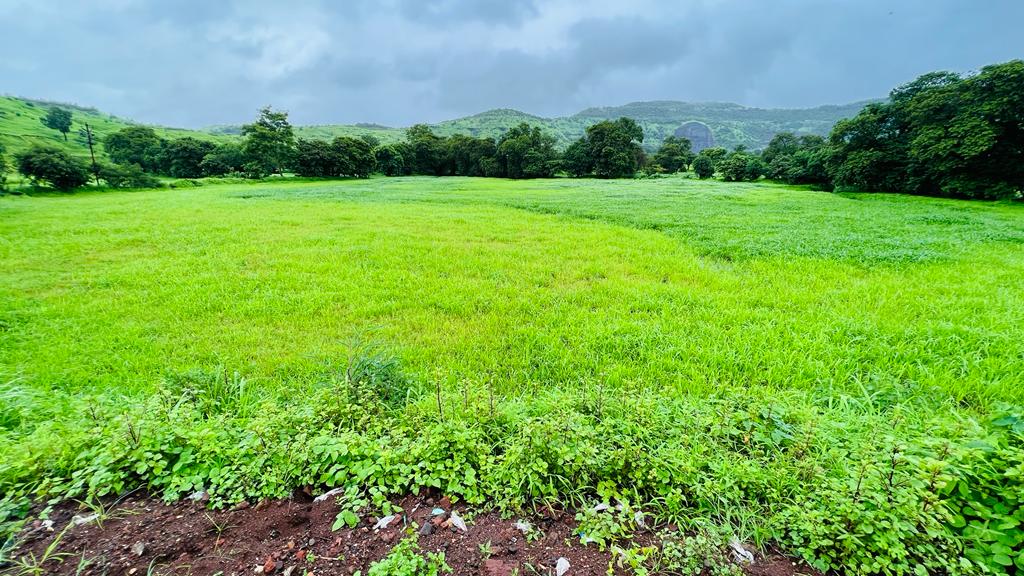 Taar road touch 5 Acre Gaothan touch land for sale just 4 km from Karjat.