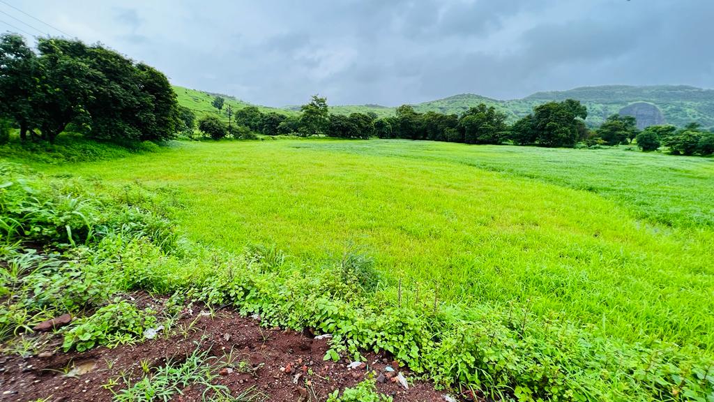 Taar road touch 5 Acre Gaothan touch land for sale just 4 km from Karjat.